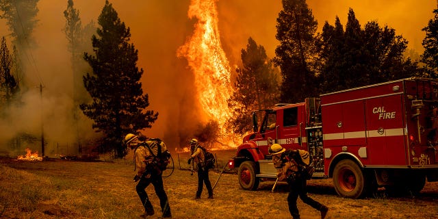 Firefighters work to keep the Oak Fire from reaching a home in the Jerseydale community of Mariposa County, Calif., on Saturday, July 23, 2022.