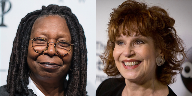 ABC's 'The View' hosts Whoopi Goldberg and Joy Behar have repeatedly had to issue on-air apologies after sparking outrage with their comments 