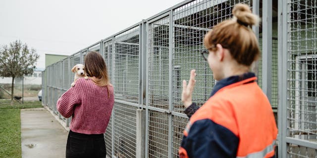 Shelter worker waves at woman holding puppy