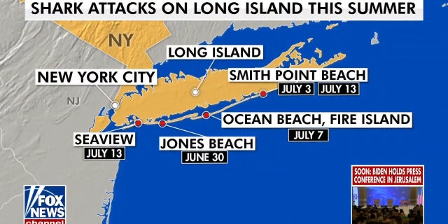 Shark attacks on Long Island, New York this summer