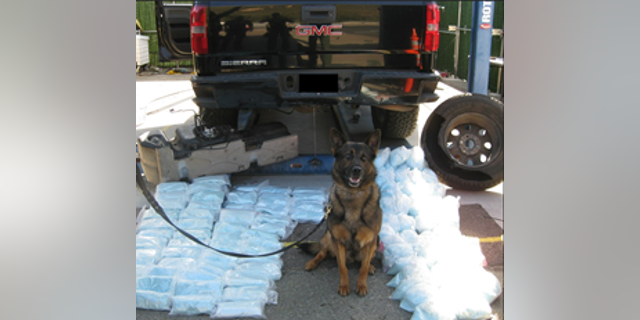 A combined total of around 250 pounds of pills that tested positive for fentanyl was found in the vehicle.