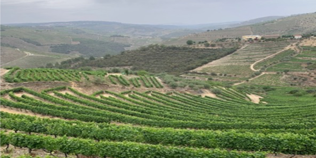 A beautiful scene, as experienced by a bicycling tour group recently during a long-planned summer vacation in Spain and Portugal.