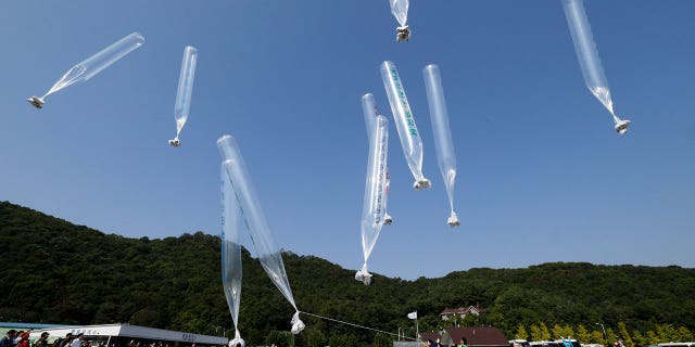 North Koran defectors release balloons carrying leaflets condemning North Korean leader Kim Jong Un and his government's policies, in Paju, near the border with North Korea, South Korea on Oct. 10, 2014.