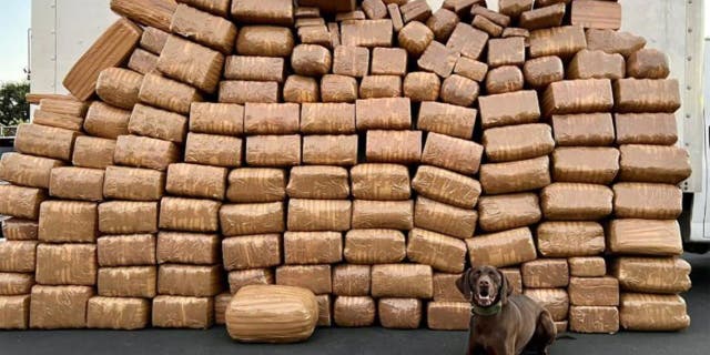 More than 5,000 pounds of methamphetamine were discovered inside cardboard boxes in National City, according to the U.S. Attorney’s Office.