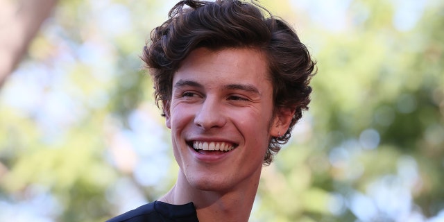 Shawn Mendes pospone gira mundial por «salud mental»