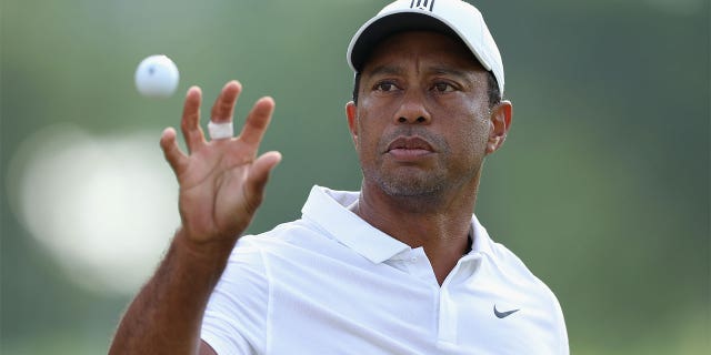 Tiger Woods con una pelota de golf