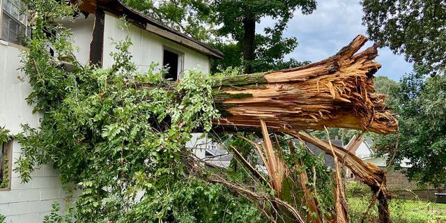 Tree in Alabama falls on home and kills 2 kids, injures 3