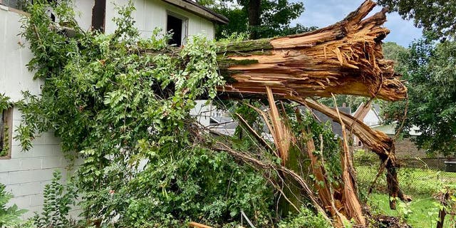 Tree in Alabama falls on home and kills 2 kids, injures 3 Tree in Alabama falls on home and kills 2 kids, injures 3