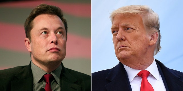 Tesla CEO Elon Musk responded to former President Donald Trump's criticism over Musk signaled his intent to withdraw from purchasing Twitter.