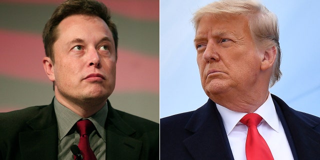 Tesla CEO Elon Musk responded to former President Donald Trump's criticism over Musk signaled his intent to withdraw from purchasing Twitter.