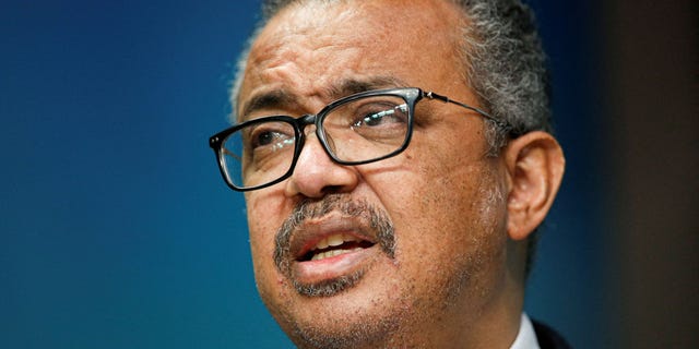 World Health Organization Director-General Tedros Adhanom Ghebreyesus, pictured at a virtual press conference on 18 September 2022, it was announced that the WHO would reconvene a committee meeting that would make recommendations on declaring the outbreak a global health emergency.