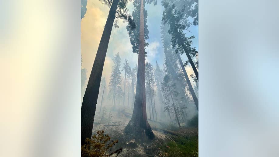 Smoke from Mariposa Grove