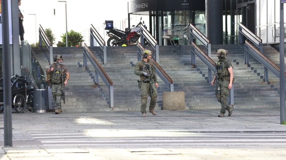 Armed Police in Denmark