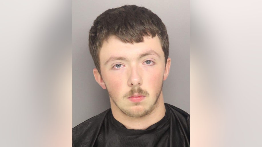 William Micah Hester mugshot shows teen with budding beard, moustache