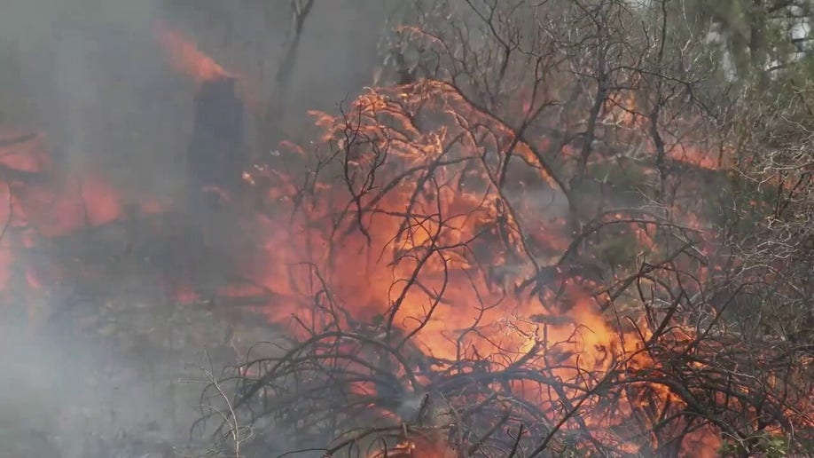 A photo of the Oak Fire wildfire in California