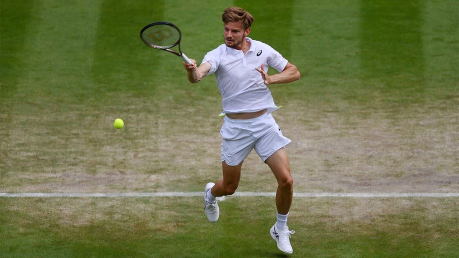David Goffin plays a forehand shot