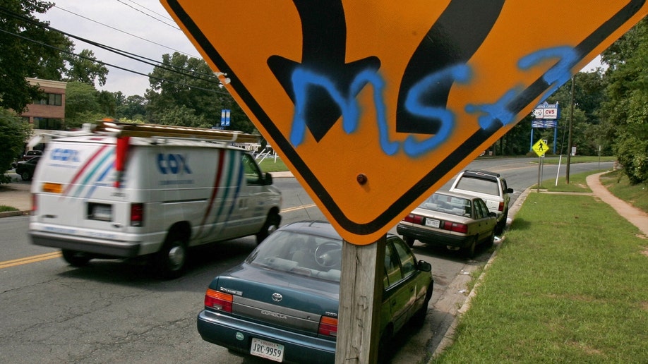 A typical traffic sign carries a extra message 23 August 2005 indicating it as territory for the El Salvaldorian gang MS13 near Annandale High School in the Washington, DC, suburb of Annandale, Virginia. 