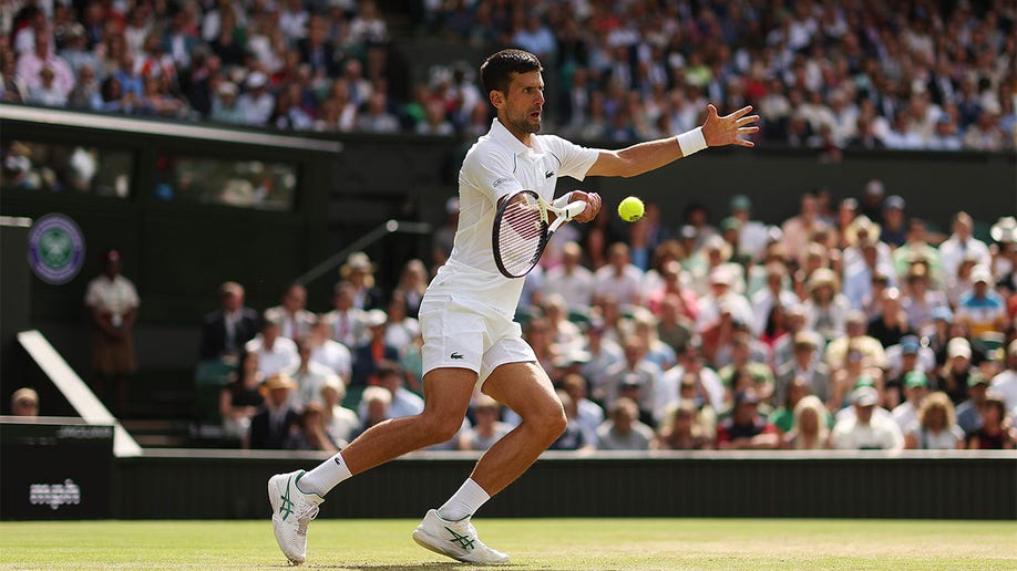Novak Djokovic plays forehand shot