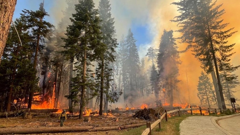 Yosemite's Washburn Fire
