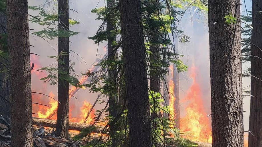 Washburn Fire burn in Yosemite
