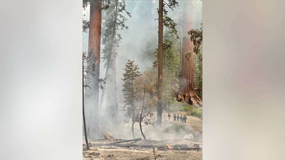 Smoke in Yosemite