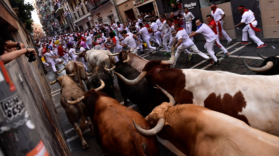 Spain's bull festival