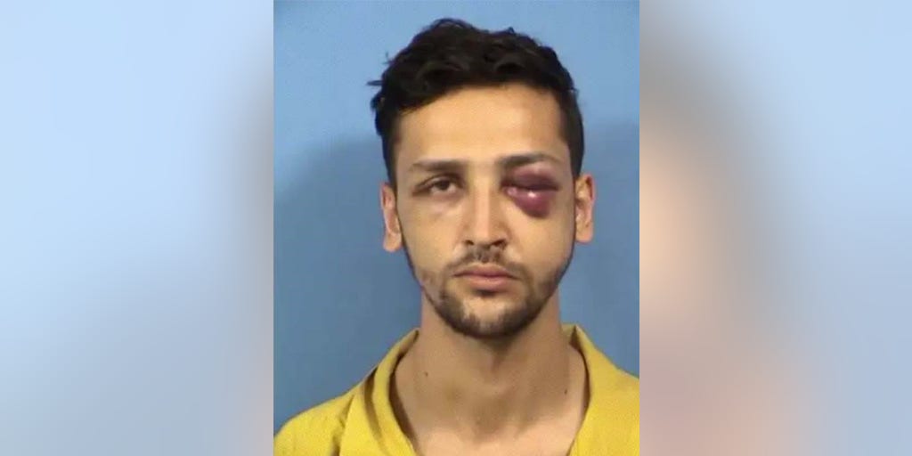 Chicago man out on probation charged in violent home invasion - Vimarsana News