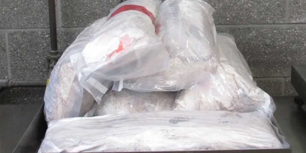 California border officials' busts net nearly 90 pounds of meth, fentanyl hours apart - Vimarsana News
