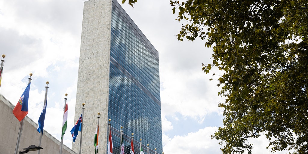United Nations diplomat accused of raping NYC neighbor released without charges after claiming immunity - Vimarsana News