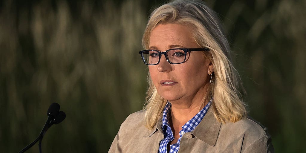 House Democrats won't say if they'll accept support from Liz Cheney PAC seeking to take down some Republicans - Vimarsana News