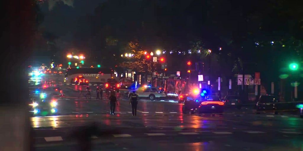 Shots fired near National Mall: 3 detained, no one injured - Vimarsana News