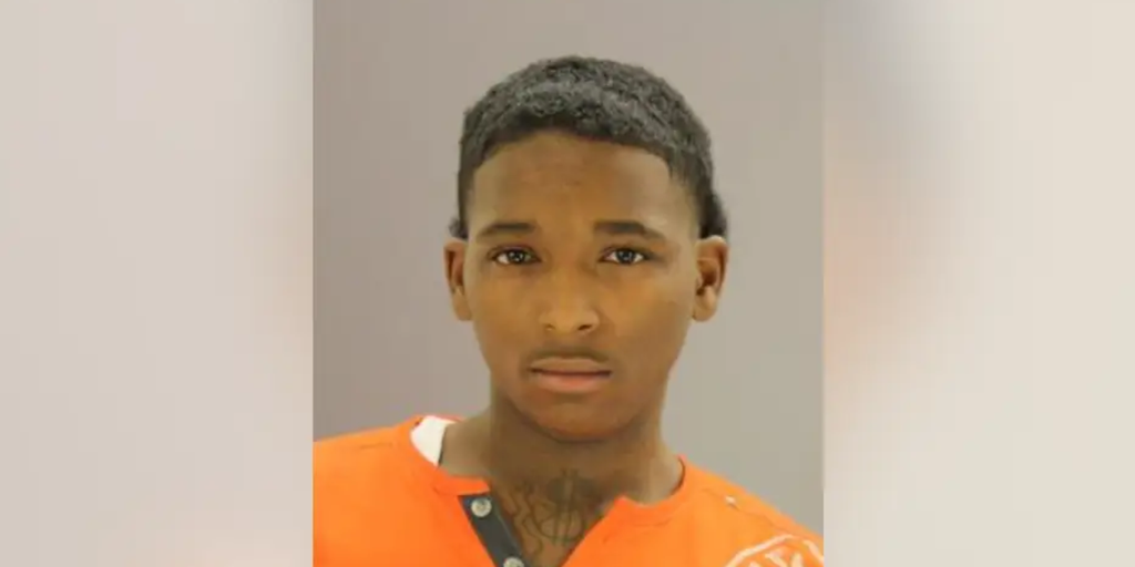 Texas police find tiger cub at rapper Trapboy Freddy's home while serving warrant - Vimarsana News