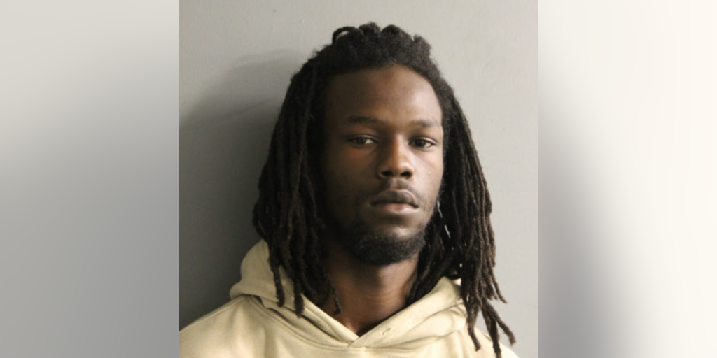 Chicago man allegedly carjacks three people, shoots one person in the leg: police - Vimarsana News