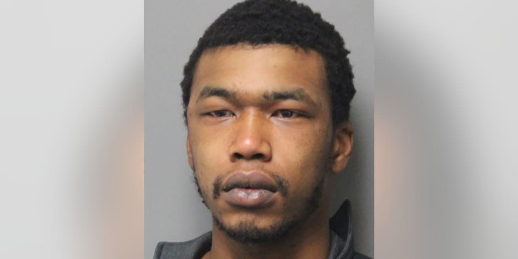 Delaware police nab suspect accused of dragging state trooper under stolen car into tree - Vimarsana News