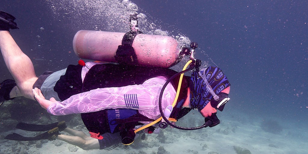 Nonprofit deploys military veterans for underwater conservation missions nationwide: 'Next branch of service' - Vimarsana News