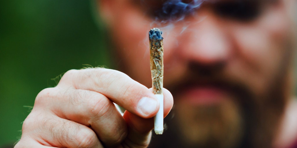 Marijuana with high THC levels linked to addiction, psychiatric illness, study finds - Vimarsana News