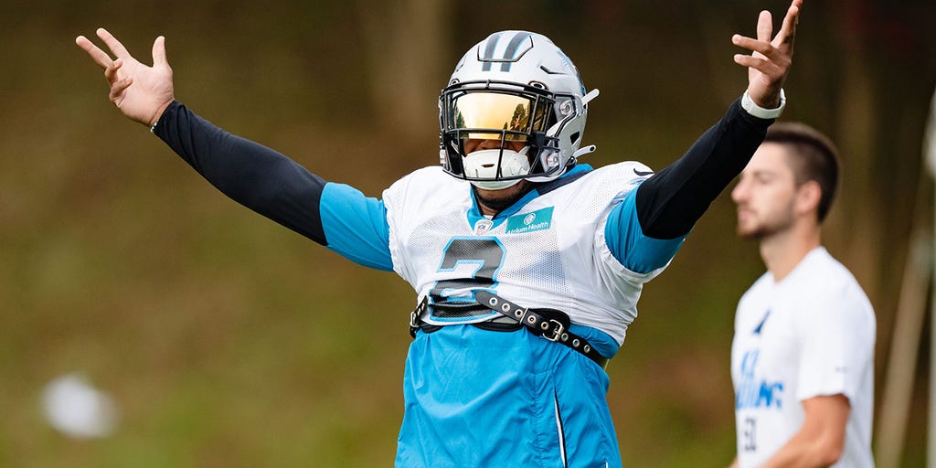 Carolina Panthers wide receiver DJ Moore leaps into the stands to break up  a fight between fans