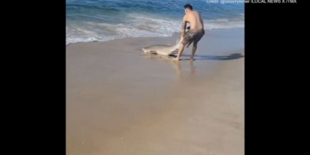 man-wrestles-shark-ny-beach-2.jpg?ve=1&t