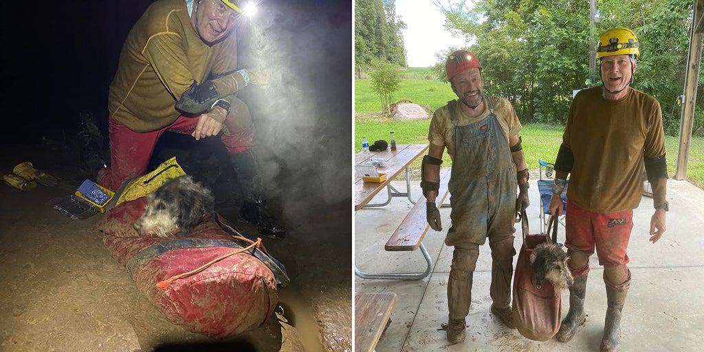 Missouri spelunkers find dog missing for months inside cave - Vimarsana News