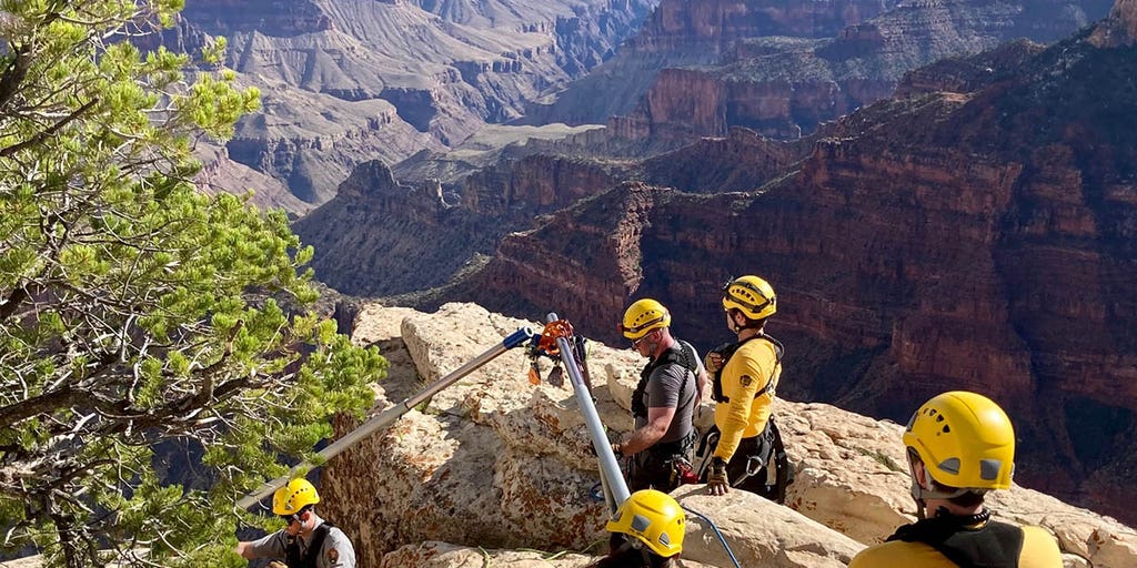 Grand Canyon visitor falls to death, body found 200 feet below park's North Rim - Vimarsana News