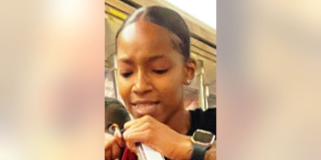 Woman says 'I hate Mexicans' after punching subway rider in the face: NYPD - Vimarsana News