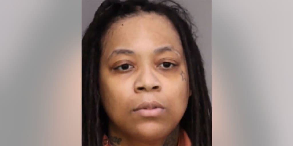 Georgia felon sentenced in mother-son multi-state fraud scheme involving identity theft, stolen vehicles - Vimarsana News