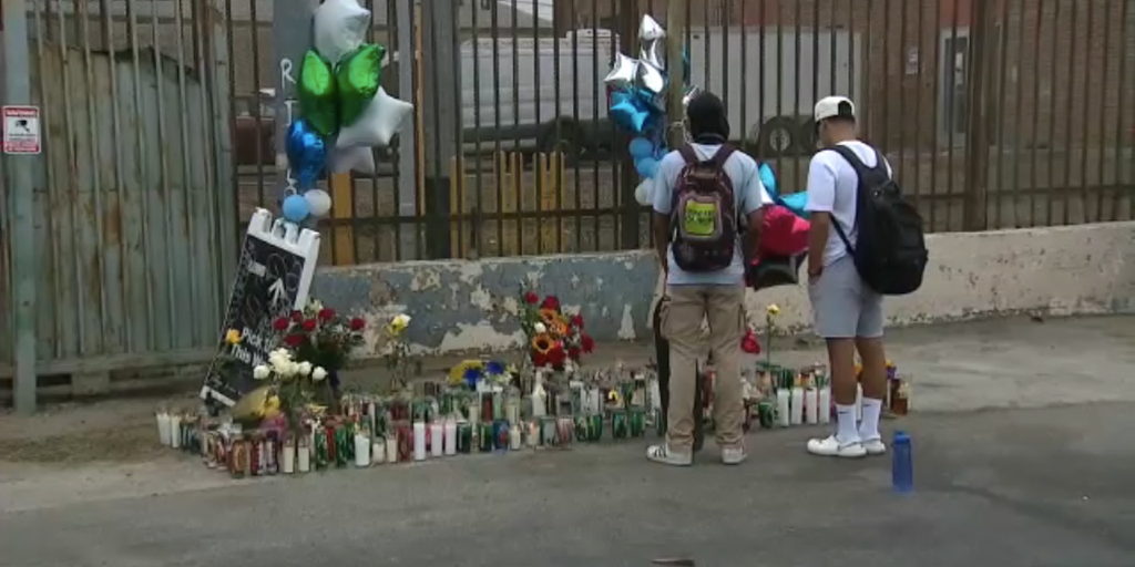 Los Angeles teen intentionally hit and killed by two vehicles at party: police - Vimarsana News