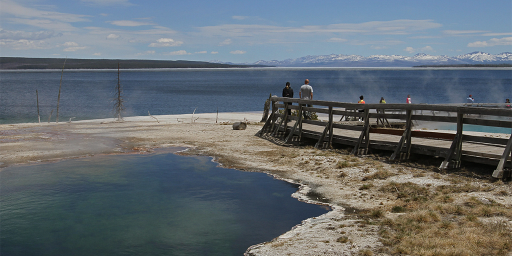 Yellowstone National Park officials say foot found floating in hot spring likely connected to July death - Vimarsana News