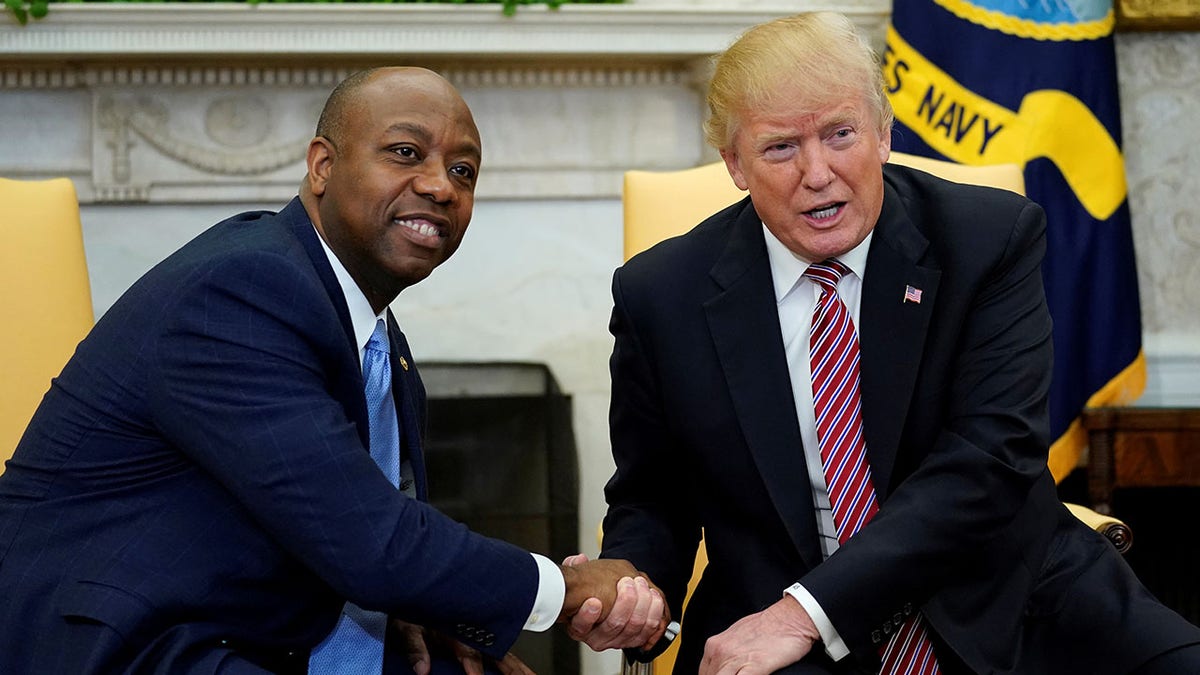 Tim Scott and Donald Trump shake hands at the White House