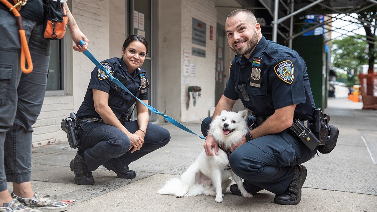 dog adopted by police officer and her finance