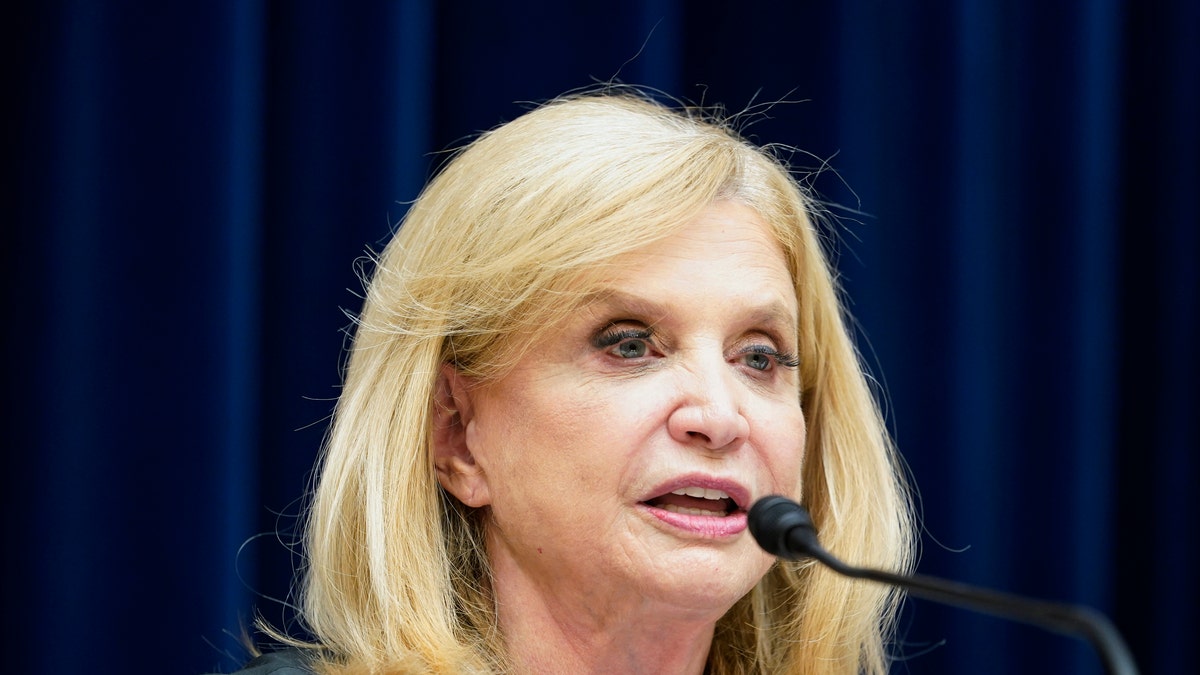 Carolyn Maloney GAO James Comer oversight