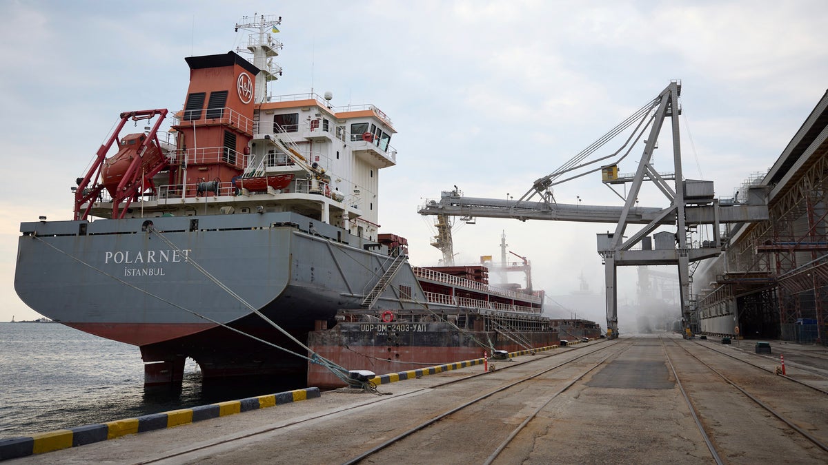 A cargo ship is loaded with Ukrainian grain amid a food crisis