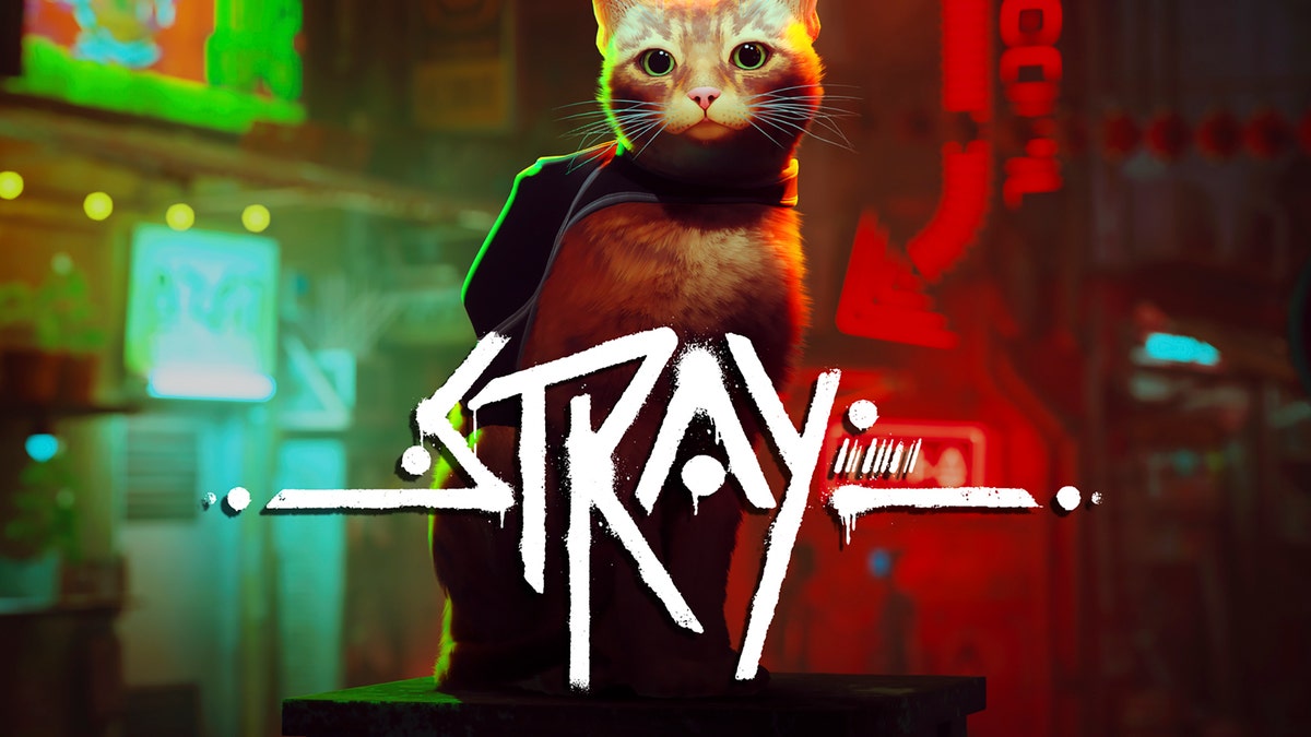 Stray Cat Video Game