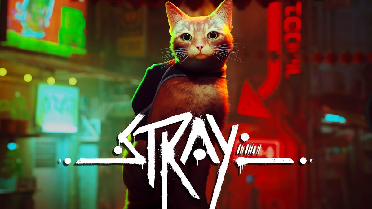 Stray Cat Video Game